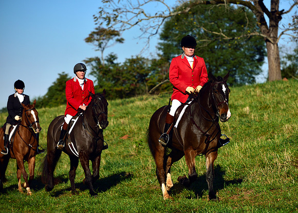 Shakerag Opening Hunt 2014