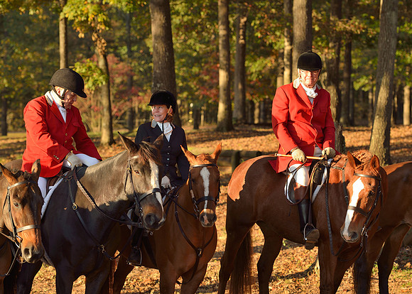 Shakerag opening Hunt 2015