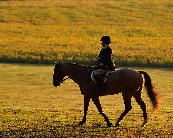 Shakerag opening Hunt 2015