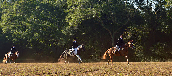 Shakerag Opening Hunt 2014