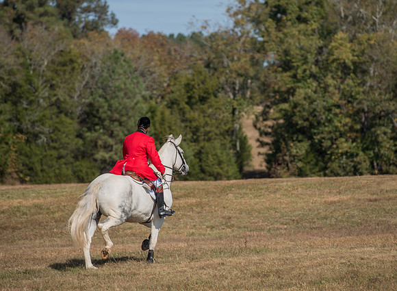 Belle Meade_228017_11-5-2016