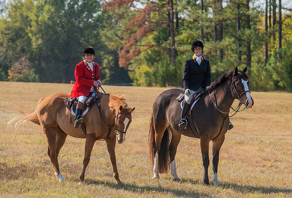 Belle Meade_228069_11-5-2016