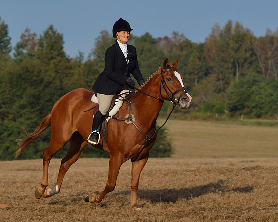 Shakerag opening Hunt 2015