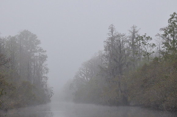 Okefenokee Suwanee Canal