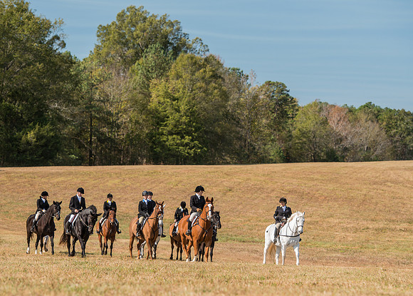 Belle Meade_227962_11-5-2016