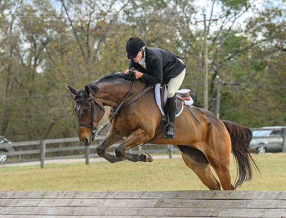 Belle Meade_20241102_421909