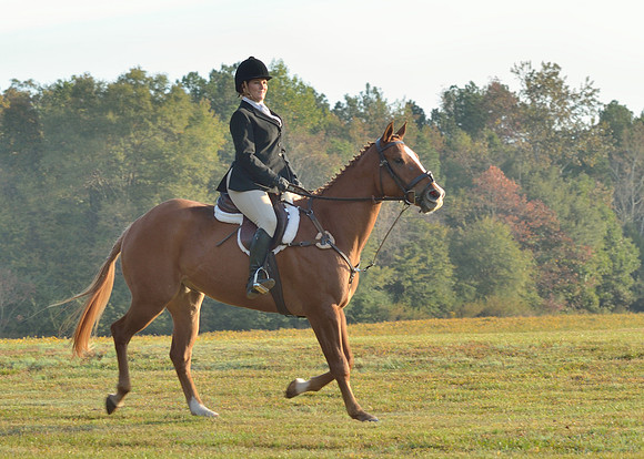 Shakerag opening Hunt 2015