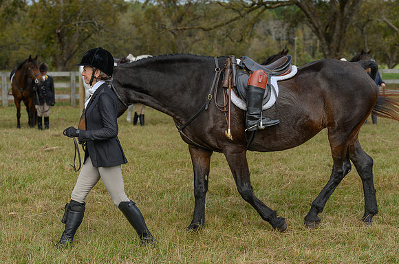 Belle Meade_20241102_420430