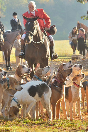 Shakerag opening Hunt 2015