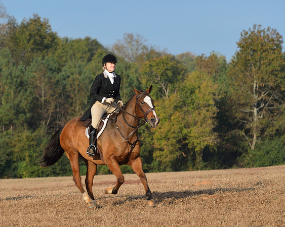 Shakerag opening Hunt 2015