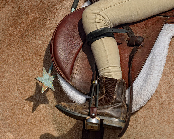 Belle Meade Fox Hunt - Opening Meet 2013