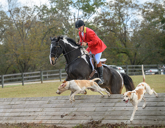 Belle Meade_20241102_420471