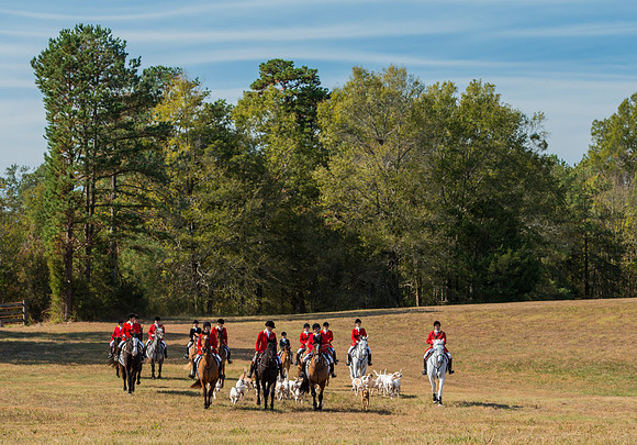 Belle Meade_228032_11-5-2016