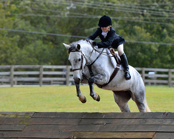 Belle Meade Opening Hunt 2014