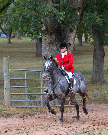 Belle Meade Opening Hunt 2014