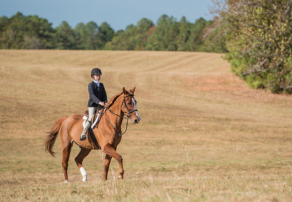 Belle Meade_227987_11-5-2016