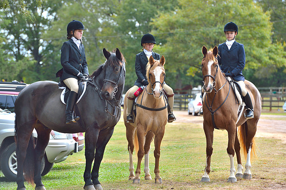 Belle Meade Opening Hunt 2014