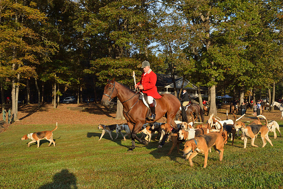Shakerag opening Hunt 2015