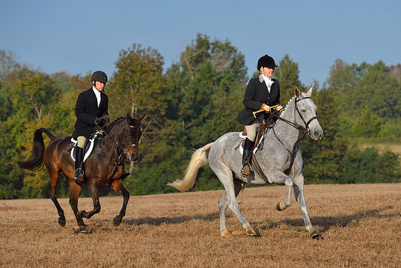 Shakerag opening Hunt 2015