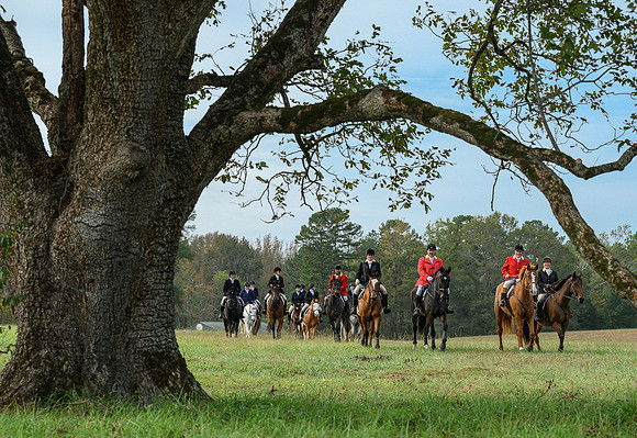 Belle Meade_20241102_420384