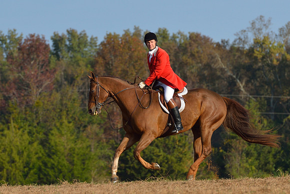 Shakerag opening Hunt 2015