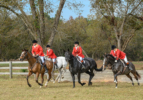 Belle Meade_20241102_420408