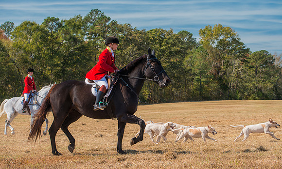 Belle Meade_228114_11-5-2016
