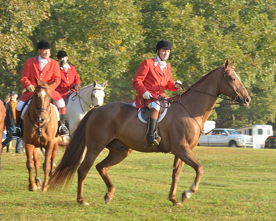 Shakerag opening Hunt 2015