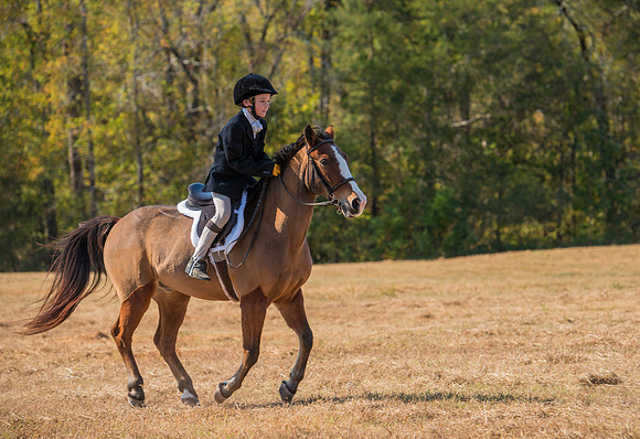 Belle Meade_228093_11-5-2016