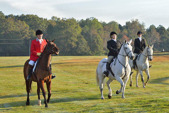 Shakerag opening Hunt 2015