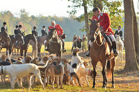 Shakerag opening Hunt 2015