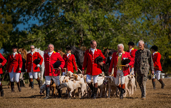Belle Meade_228165_11-5-2016