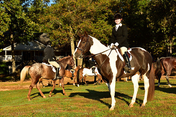 Shakerag Opening Hunt 2014