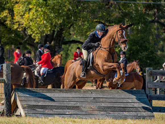 Belle Meade_228341_11-5-2016