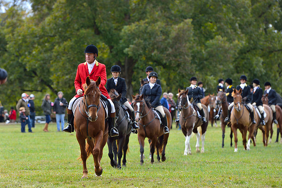 Belle Meade Opening Hunt 2014