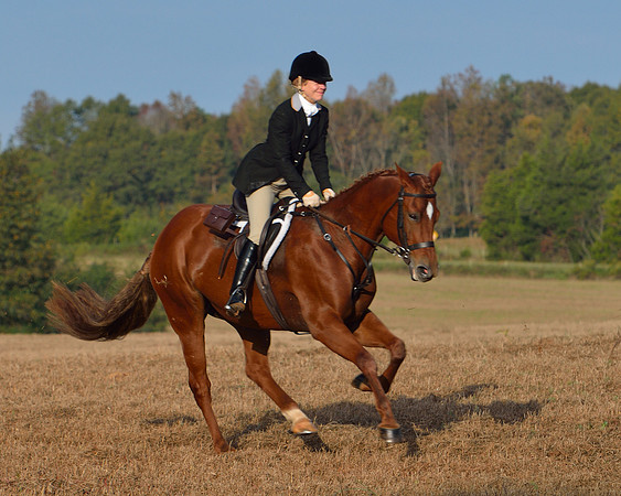 Shakerag opening Hunt 2015