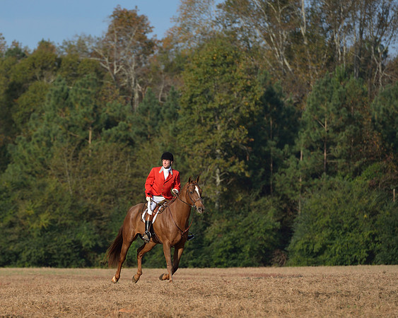 Shakerag opening Hunt 2015