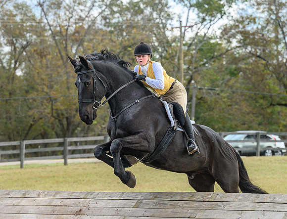 Belle Meade_20241102_421918