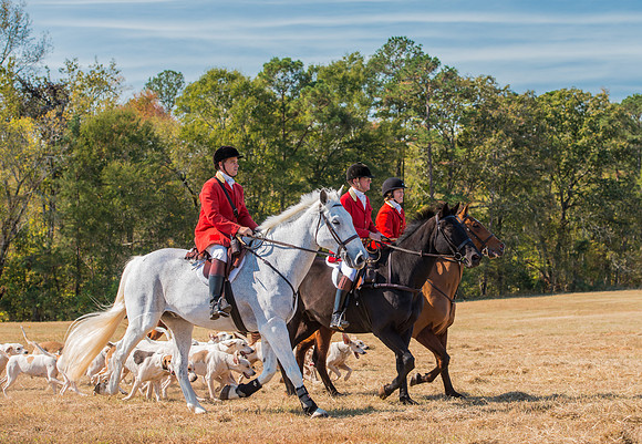 Belle Meade_228109_11-5-2016