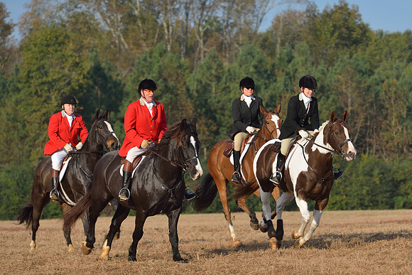 Shakerag opening Hunt 2015