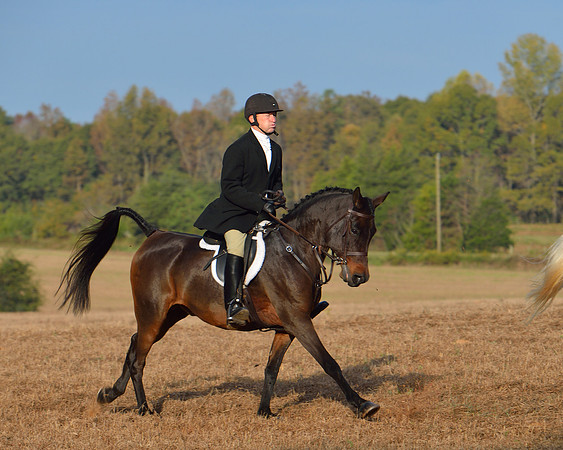Shakerag opening Hunt 2015