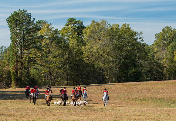 Belle Meade_228031_11-5-2016
