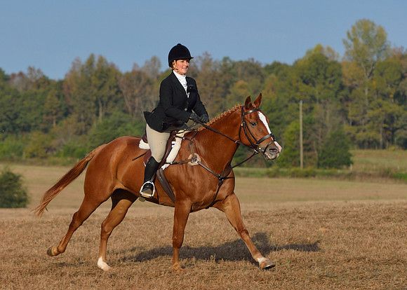 Shakerag opening Hunt 2015