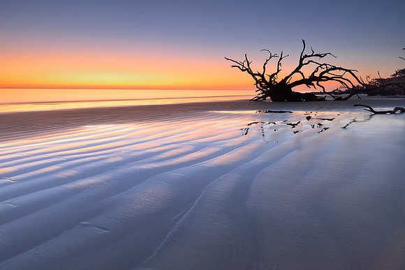 Jekyll Island - Driftwood Beach Sunrise