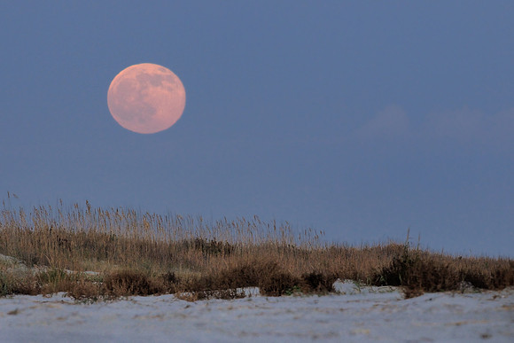 Moonrise at Jekyll Point