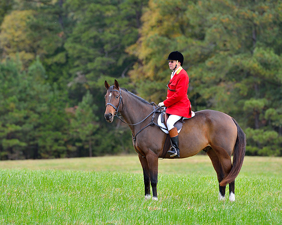 Belle Meade Opening Hunt 2014