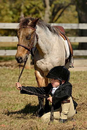 Belle Meade Fox Hunt - Opening Meet 2013
