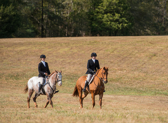 Belle Meade_227978_11-5-2016