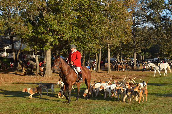 Shakerag opening Hunt 2015
