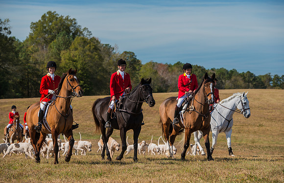 Belle Meade_228036_11-5-2016